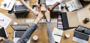 Colleagues Giving A Fist Bump Contabilidade Digital Online | Mv On -